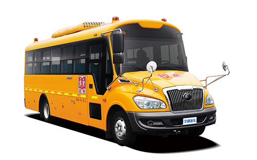 ZK6789DX